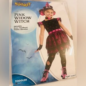 Pink Widow Witch Toddler Girl Halloween costume 3/4T